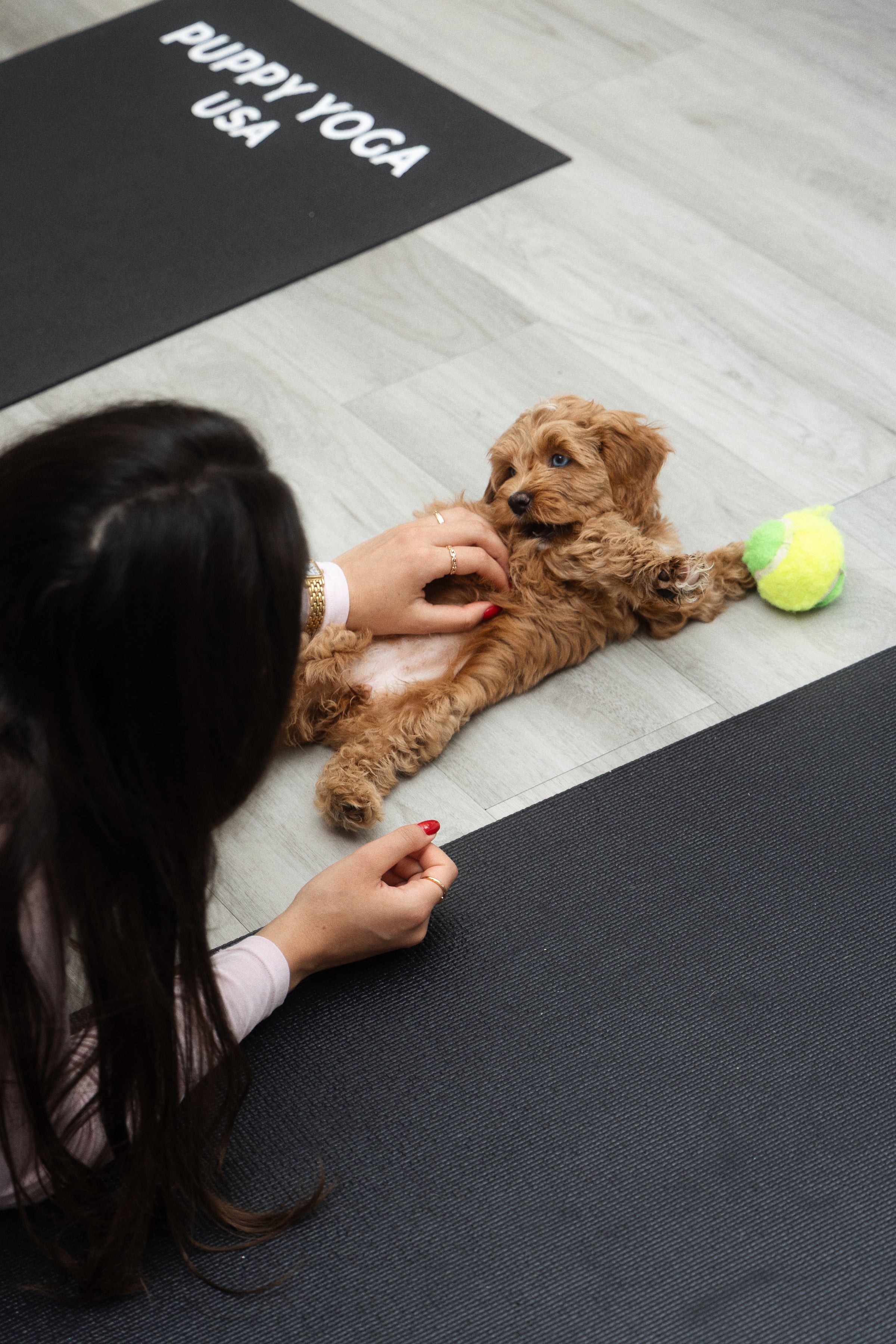 Every event is carefully designed with puppy safety and wellness at heart.