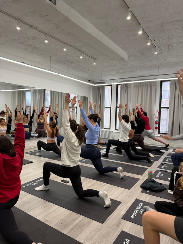 All-Level Yoga