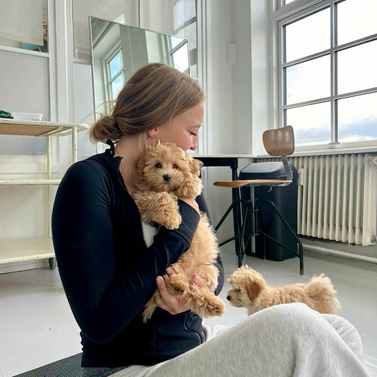 Puppy Yoga | New York