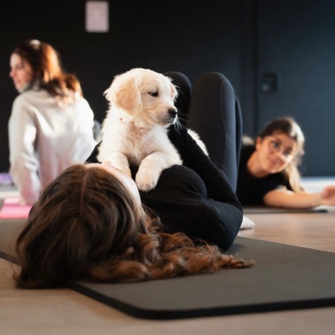 Puppy Yoga for Stout Women’s Alliance event