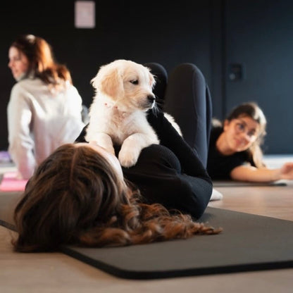 Puppy Yoga for Stout Women’s Alliance event