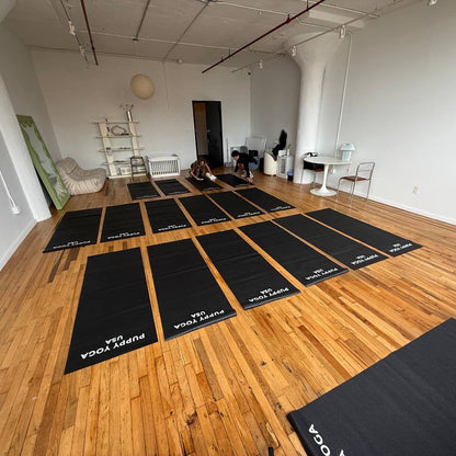 Puppy Yoga | Denver