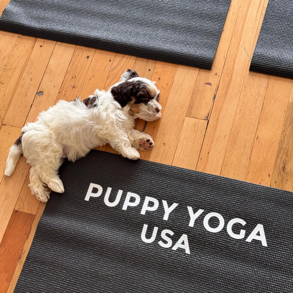 Yoga Mats provided
